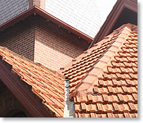 Rapid Roof Repairs is the expert in the roof repair & roof maintenance industry